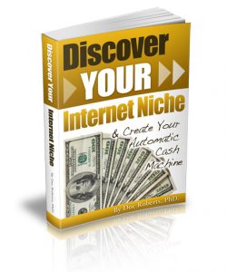Discover Your Internet Niche